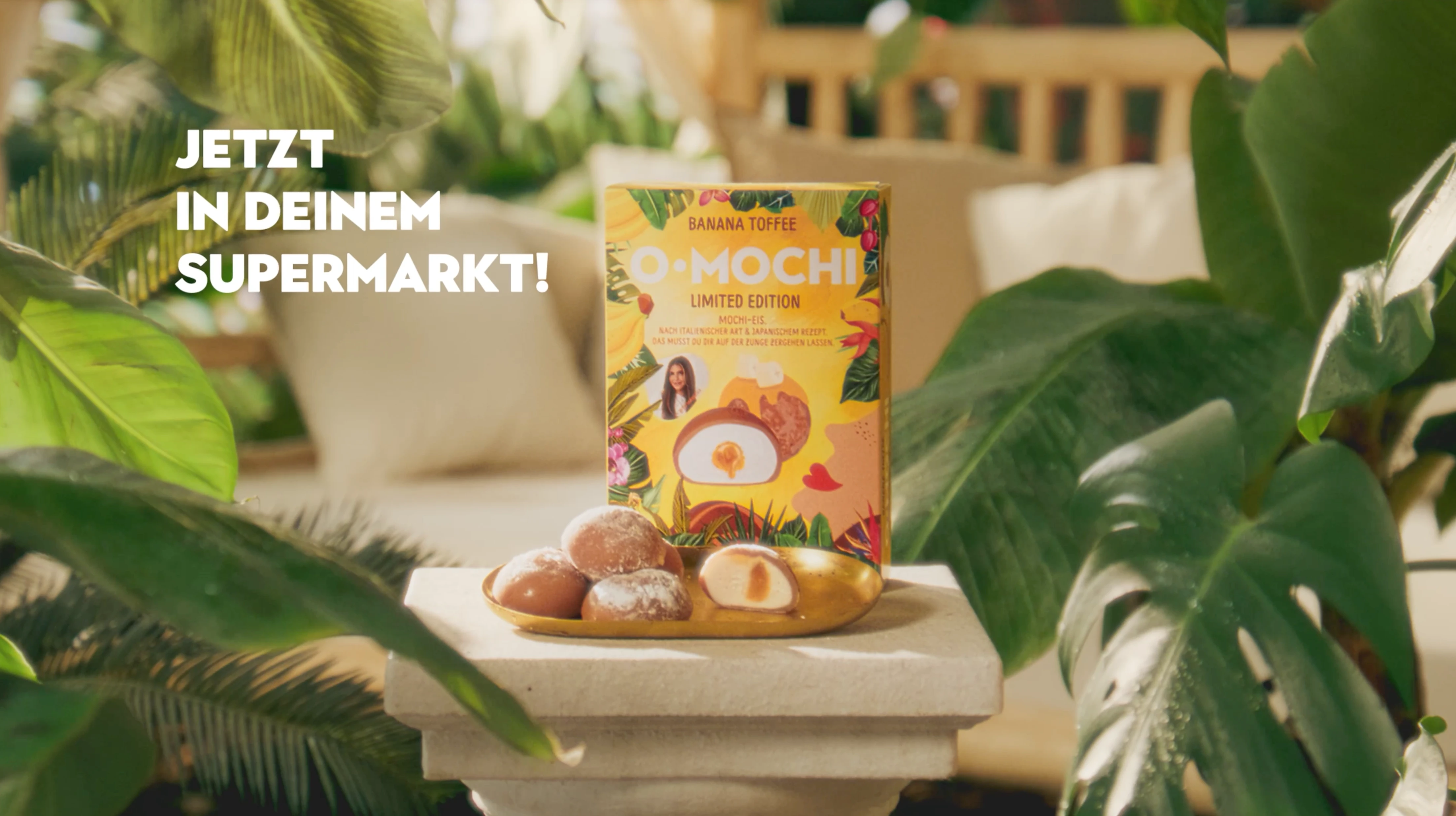 O-MOCHI – JUNGLE DREAMS